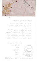 ���� ���� ������