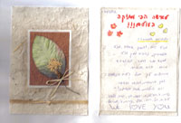 ���� ���� ������